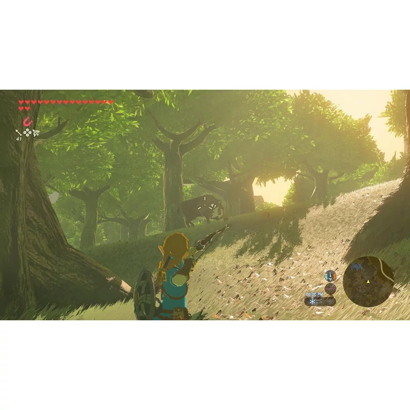 The Legend of Zelda: Breath of the Wild (Switch 2)